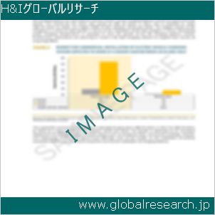グローバルリサーチ調査レポートのイメージ